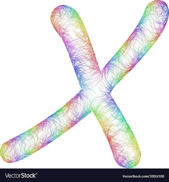 Rainbow Sketch Font Design vector image