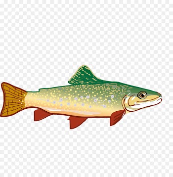 Rainbow trout Clip art - Hand-painted small fish 