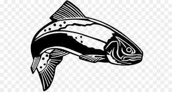 Rainbow trout Clip art - Spotted Seatrout 