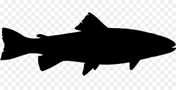 Rainbow trout Silhouette Clip art - Silhouette 
