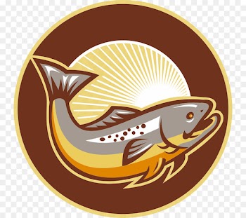 Rainbow trout Stock photography Brown trout Brook trout - fish shop 
