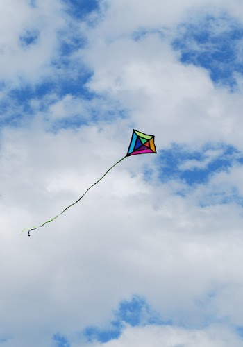 rainbowkite2.jpg