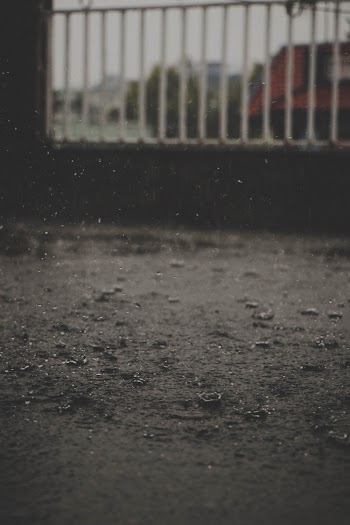 Raindrops