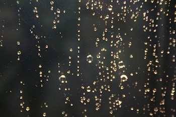 raindrops.JPG