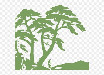 Rainforest Clipart Rainforest Edit Clip Art At Clker - Cartoon Tropical Rainforest Trees