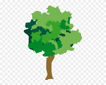 Rainforest Plant And Tree Clipart - Illustration