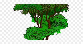 Rainforest Plants Clip Art - Advice From A Tree Poem