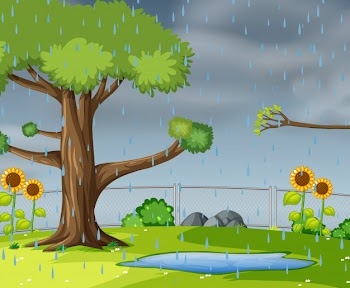 Raining in the garden Free Vector