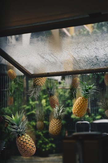 Raining Pineapples