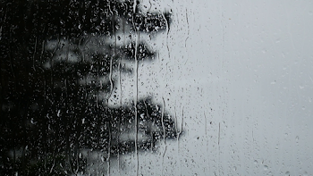 Rainy Day Background 4K (1920x1080) | Wallperio.com™