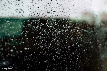 Rainy day | Free public domain photo - 593192