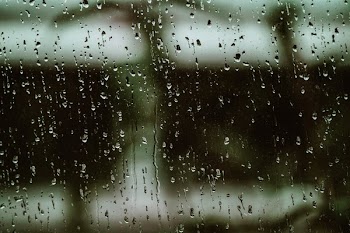 Rainy Window Pane