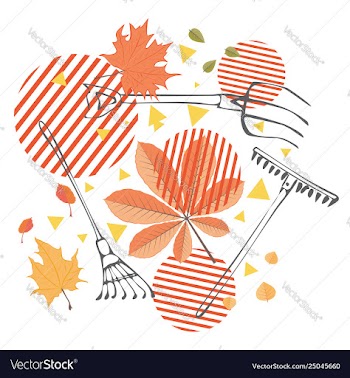 Raker with fallen leaves vector image