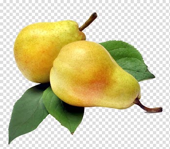 Rakia Slatko Williams pear Fruit, pear transparent background PNG clipart