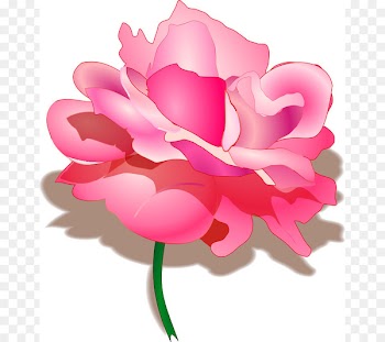Raksha Bandhan Hindi Happiness SMS Wish - Rosa Flower Cliparts 