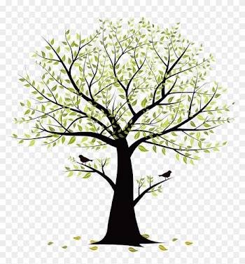 Rama De Árbol De Aves - Tree