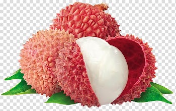 Rambutan fruit, Fizzy Drinks Juice Lychee Fruit Food, juice transparent background PNG clipart