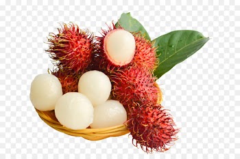 Rambutan Fruit Lychee Red - Red fresh red hair Dan 