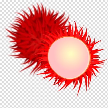 Rambutan Fruit , mango transparent background PNG clipart