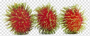 Rambutan Longan Thai cuisine Fruit Lychee, others transparent background PNG clipart
