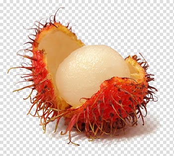 Rambutan, Rambutan Fruit Pitaya, Rambutan transparent background PNG clipart