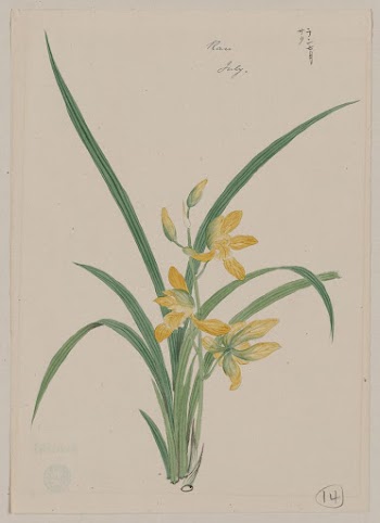 Ran &ndash; July (ca. 1870&ndash;1880) | Free Photo - rawpixel