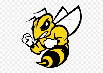 Randolph-macon Mens Soccer Data - Randolph Macon Yellow Jackets