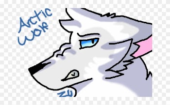 Random Drawing Of An Arctic Wolf On Aj By Zetroumbreonaj - Random Drawing Of An Arctic Wolf On Aj By Zetroumbreonaj