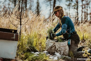 Ranger working on sustainable reforestation