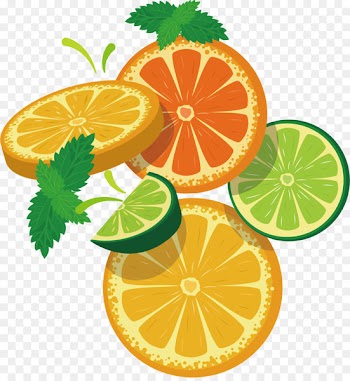 Rangpur, Lemon, Mandarin Orange, Citrus, Lime PNG