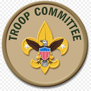 Ranks in the Boy Scouts of America Eagle Scout Merit badge Scouting - others 
