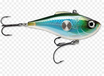 Rapala Fishing Baits & Lures Topwater fishing lure - Fishing Rod 