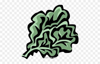 Rapini Royalty Free Vector Clip Art Illustration - Lettuce Leaf Clip Art