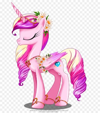 Rarity Princess Cadance Pinkie Pie Pony Twilight Sparkle - festivals 