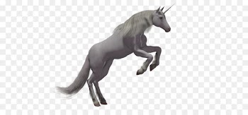 Rarity Winged unicorn Flight - Unicorn PNG 