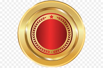 Rashtrasant Tukadoji Maharaj Nagpur University Institute of Hotel Management, Catering Technology and Applied Nutrition, Mumbai University of Mumbai Swami Ramanand Teerth Marathwada University Padmashree Dr D.Y.Patil University - Badges 