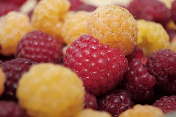 Raspberry