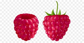 Raspberry Blackberry Fruit Clip art - Transparent Raspberry PNG Clipart Picture 