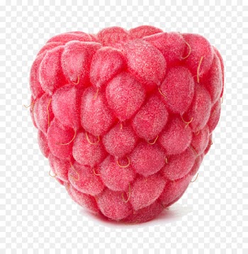 Raspberry Blueberry Fruit - A raspberry 
