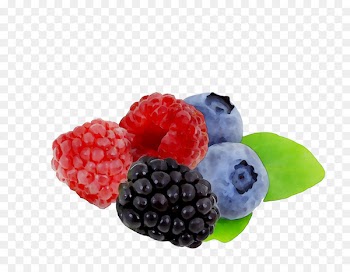 Raspberry Boysenberry Blueberry Bilberry Berries -  
