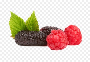 Raspberry Boysenberry Frutti di bosco Strawberry Tayberry - Mulberry close-up 