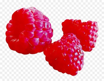 Raspberry Boysenberry Strawberry Tayberry Fruit -  