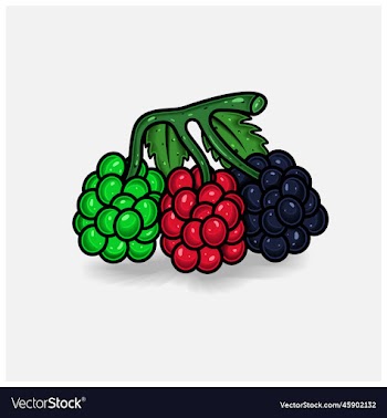 raspberry fruit cartoon with simple gradient and