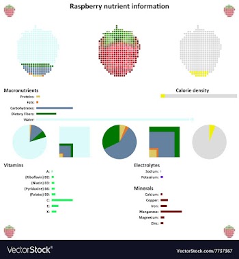 Raspberry nutrient information vector image