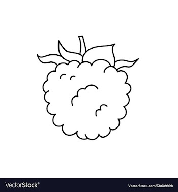 raspberry or blackberry berry sketch black line