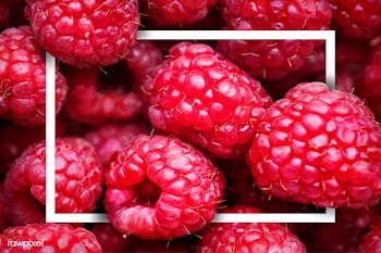 Raspberry patterned card | Free stock vector - 599798