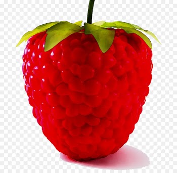 Raspberry pie Clip art Portable Network Graphics Image -  