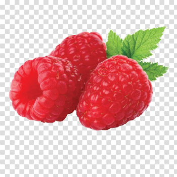 Raspberry PNG Free Download