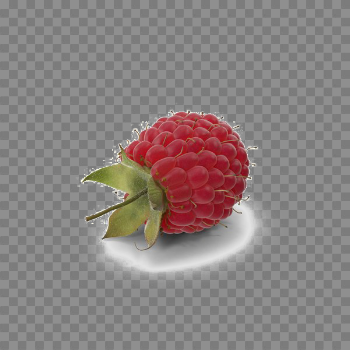 Raspberry PNG Image With Transparent Background
