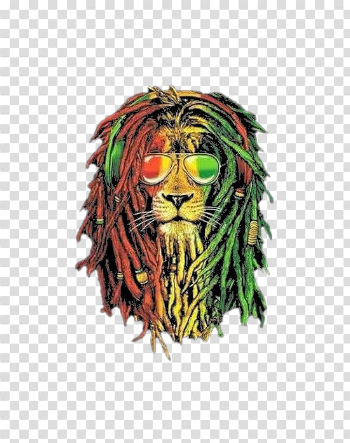 Rasta Lion PNG Background Image